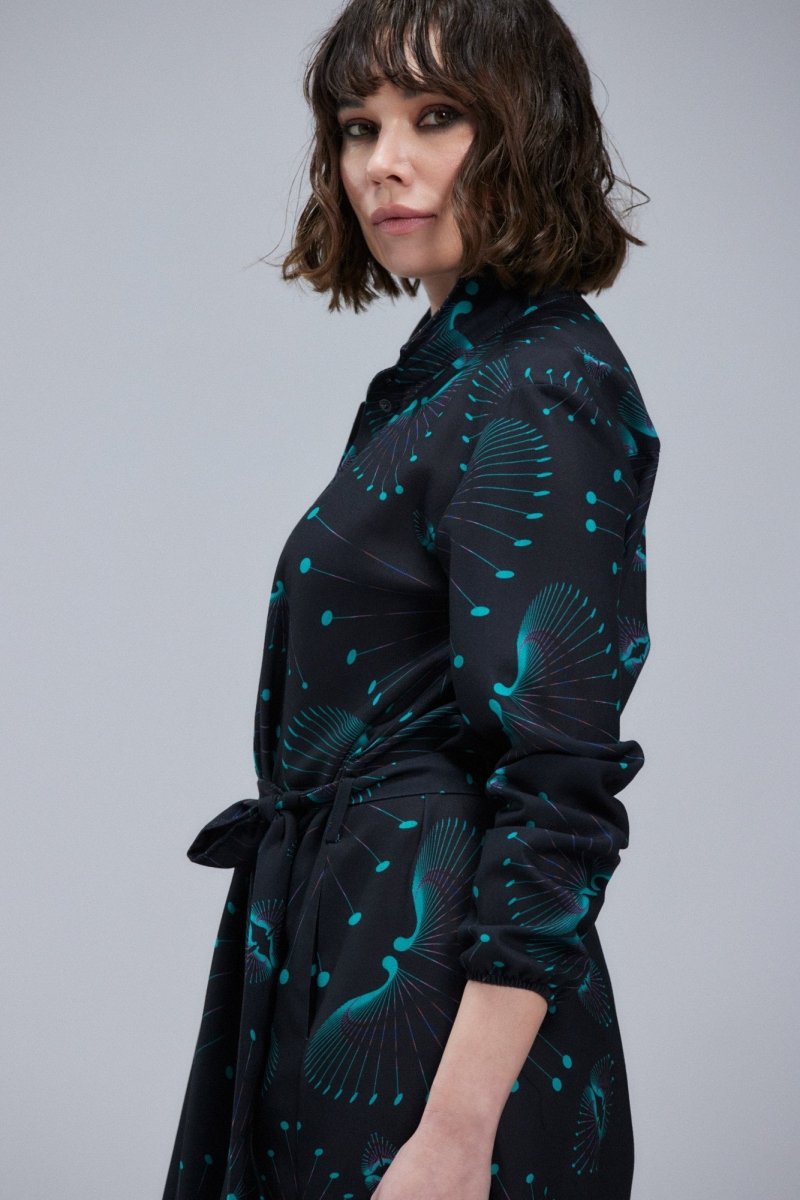Robe de dragonne
