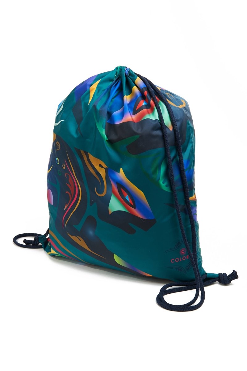 Bolsa de gatos